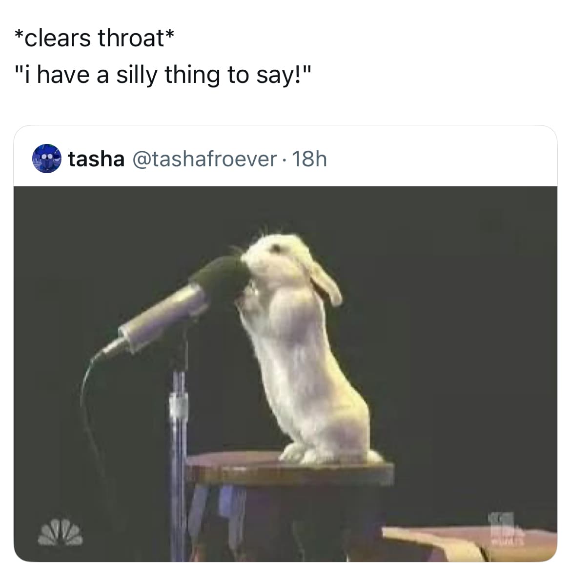 A bunny standing at a microphone in a silly screenshot