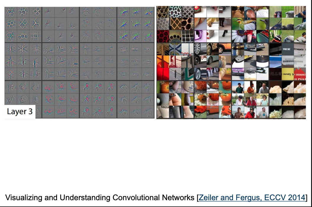 Layer 3: Abstraction of features into recognizable objects in a convolutional neural network.
